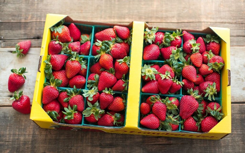 Strawberry Picking