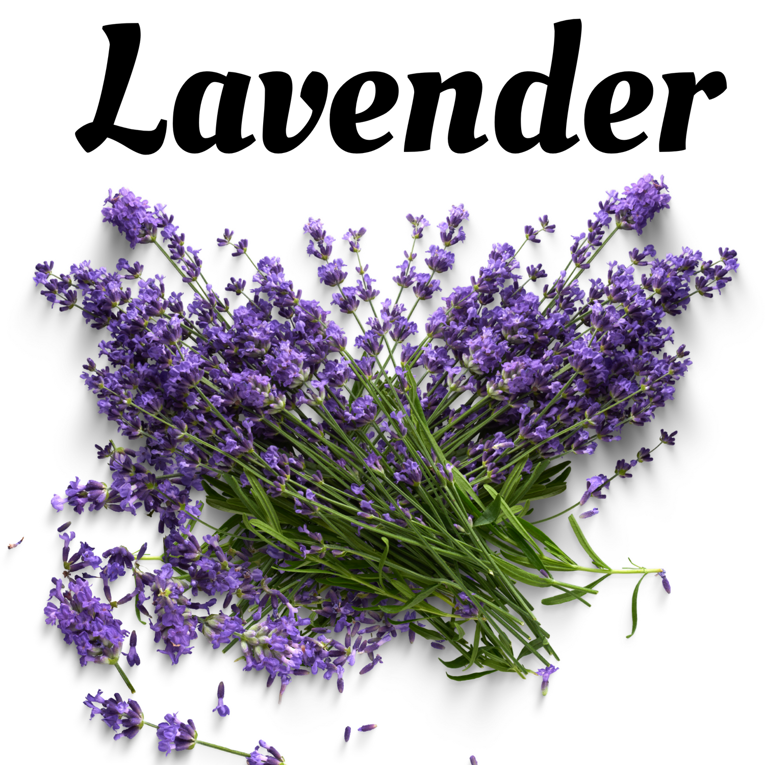 Lavender Collection