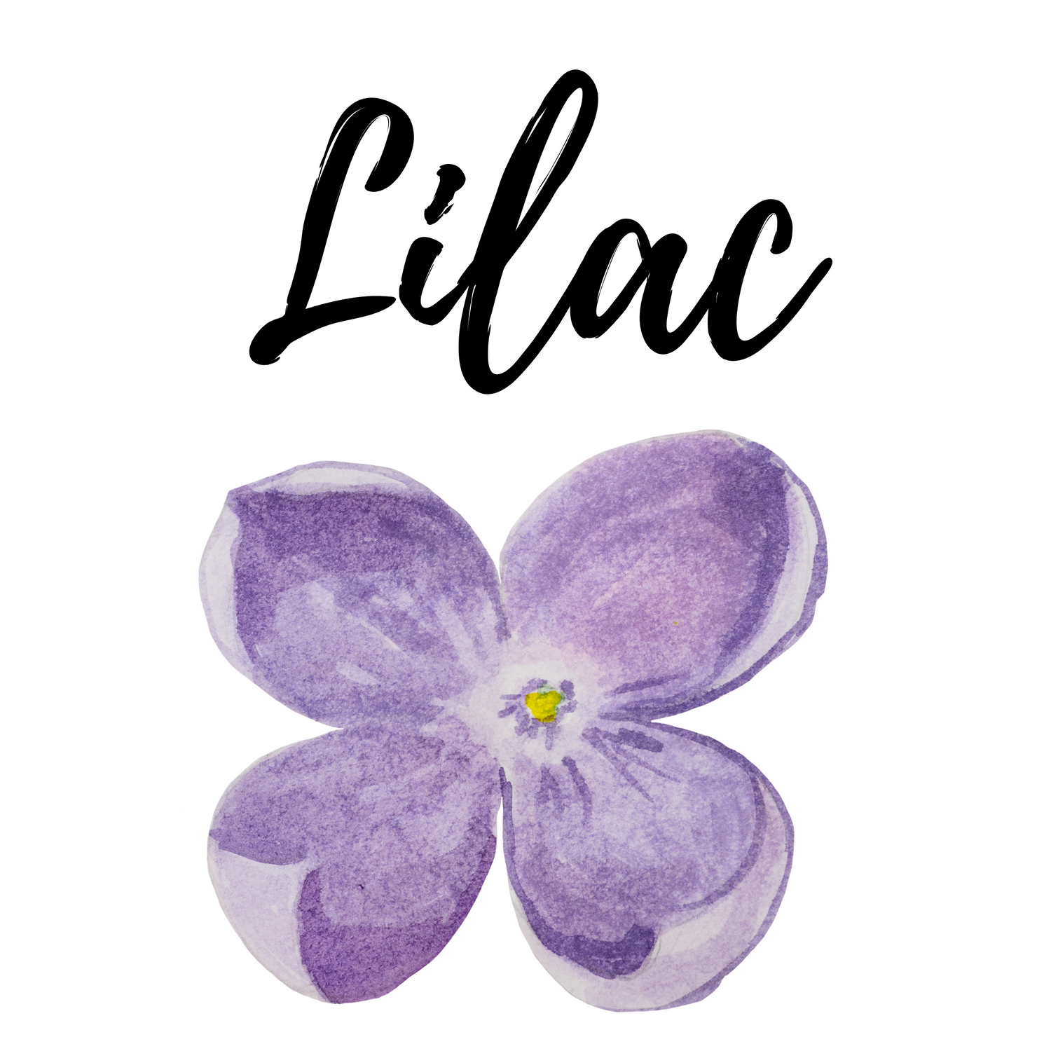 Lilac Collection