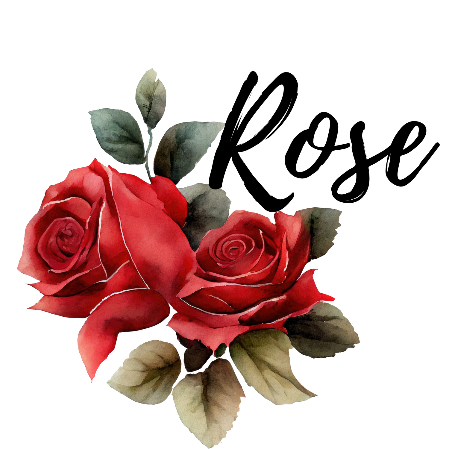 Rose Collection