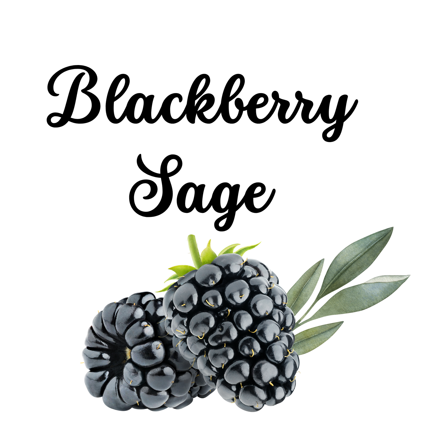 Blackberry Sage